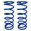 Bearmach Lifted Coil Springs